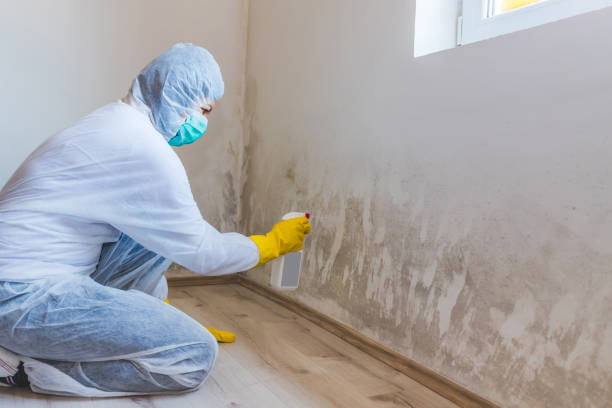 Mold Remediation specialist working in McHenry